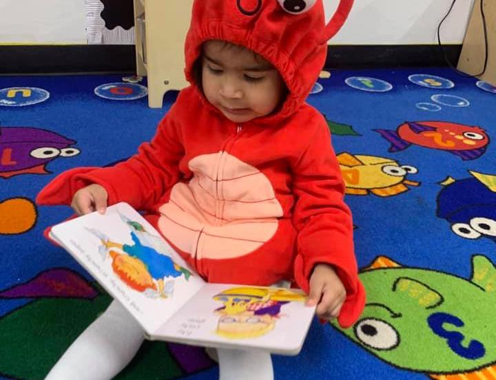 Early Literacy Resources Build Little Readers